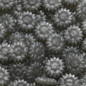 Bulk Sealing Wax Beads in Multiple Colors main image 73