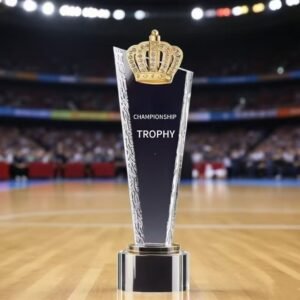 Custom Elegant Trophies Medals Plaques Gold Silver Bronze Metal Crowns Glass & Crystal Cups for Beauty Pageant Events main image 1