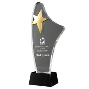 Custom Elegant Trophies Medals Plaques Gold Silver Bronze Metal Crowns Glass & Crystal Cups for Beauty Pageant Events main image 3