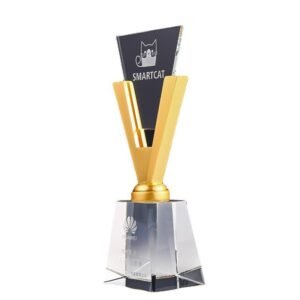 Custom Elegant Trophies Medals Plaques Gold Silver Bronze Metal Crowns Glass & Crystal Cups for Beauty Pageant Events main image 4