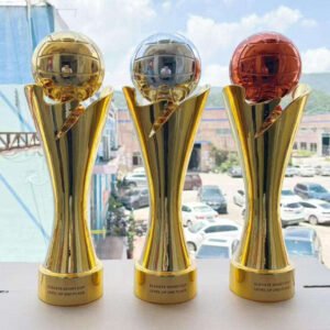 Shanchen Professional Custom Made Wood Base Soccer Trophy Goldene Trophae Customized Gold Metal Blank Luxury Soccer Trophy main image 5