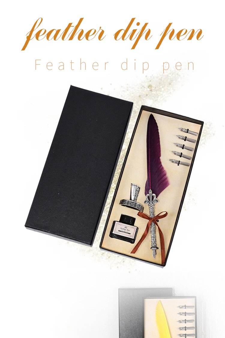 Vintage Feather Pen with Ink and Nibs detail image 1