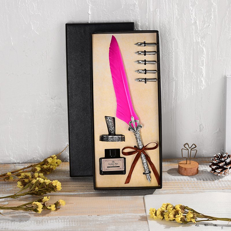 Vintage Feather Pen with Ink and Nibs main image 6