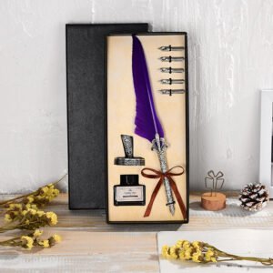 Vintage Feather Pen with Ink and Nibs main image 7