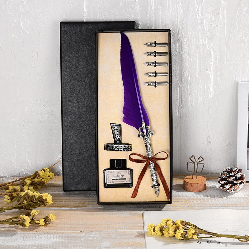 Vintage Feather Pen with Ink and Nibs main image 7
