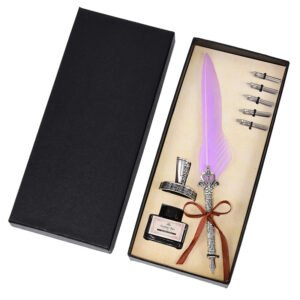 Vintage Feather Pen with Ink and Nibs main image 8