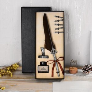 Vintage Feather Pen with Ink and Nibs main image 9