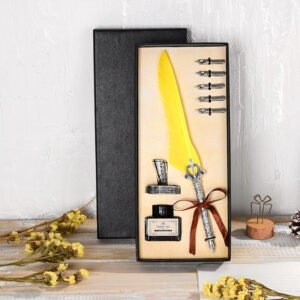 Vintage Feather Pen with Ink and Nibs main image 11