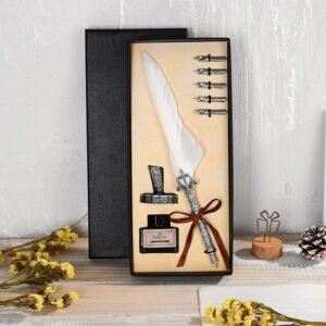 Vintage Feather Pen with Ink and Nibs main image 1