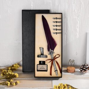 Vintage Feather Pen with Ink and Nibs main image 13