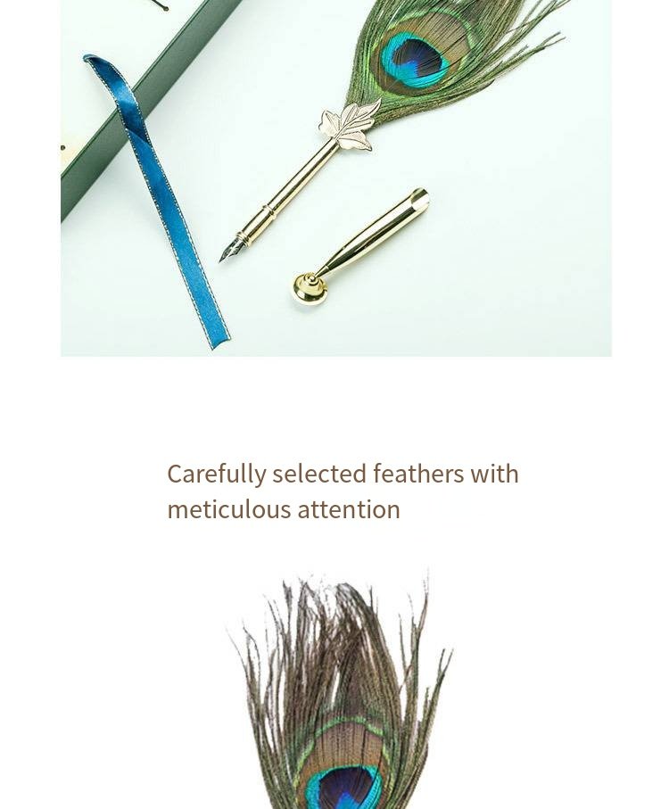 Classic Feather Quill Pen Writing Gift Set detail image 4