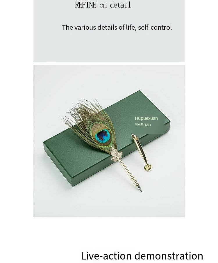 Classic Feather Quill Pen Writing Gift Set detail image 6